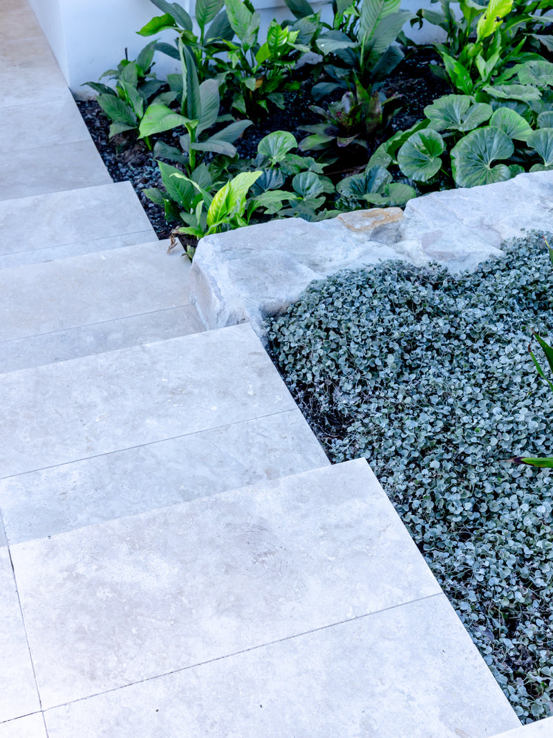 HAAUS.7 travertine paver detail with silver-leaf ground cover